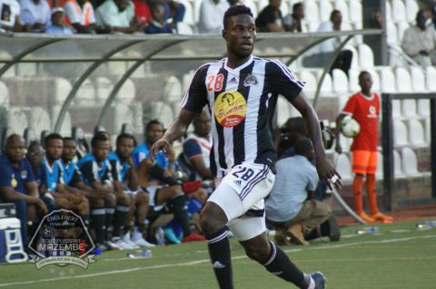 Dauphins Noirs crunched in Kamalondo